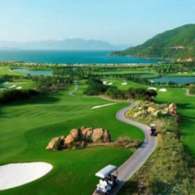 Luật chơi golf 18 lỗ chi tiết mới nhất 