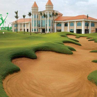 Sống tại Hồ Chí Minh thì chơi golf ở đâu? Sân golf gần đây