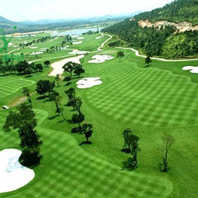 Bảng giá sân golf khu vực thành phố hồ chí minh mới nhất 2023